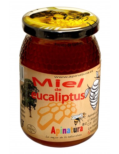 Miel de eucalipto 500 gr 